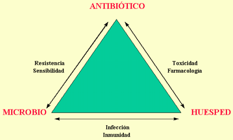 Triangulo de Davis